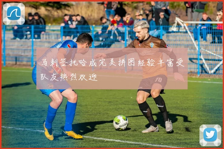 马刺签托哈成完美拼图经验丰富受队友热烈欢迎